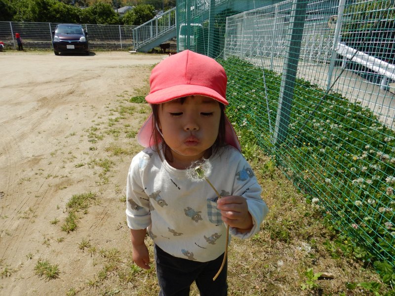 DSCN3100