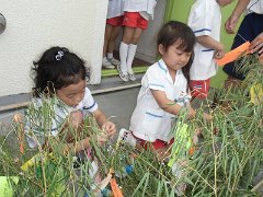 CIMG0591_s