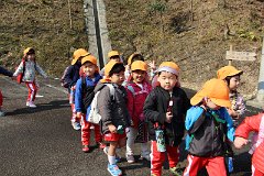 IMG_5356