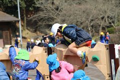 IMG_5426