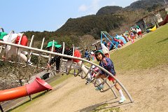 IMG_5445