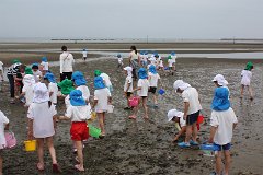IMG_7605