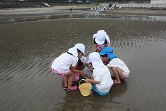 IMG_7634